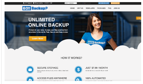 Gotbackup is a company owned by GVO